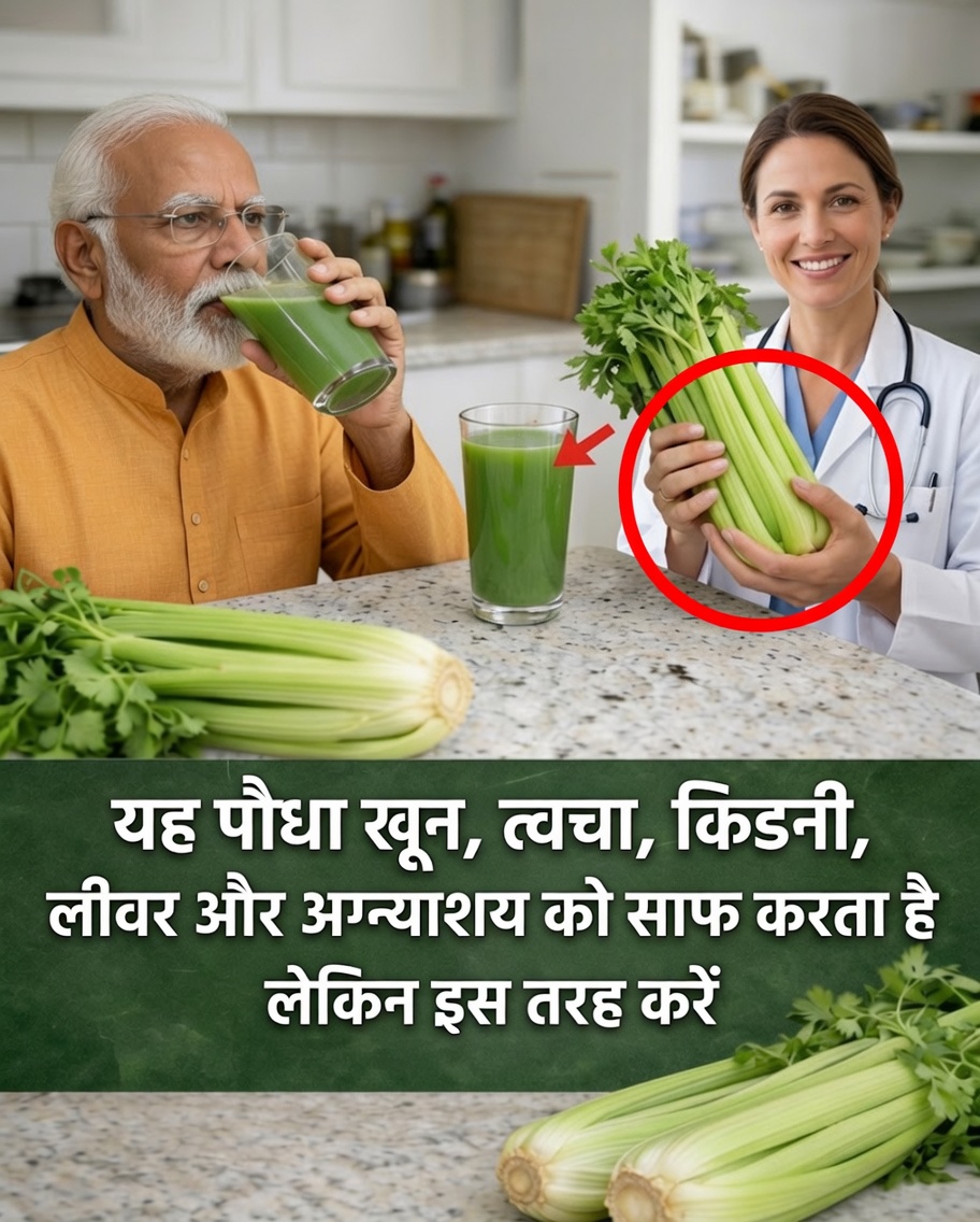 आइपो: कम आंका गया सुपरफूड जो स्वस्थ रक्तचाप बनाए रखने में मदद कर सकता है